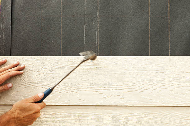 Best Vinyl Siding Installation  in Dunlap, IA