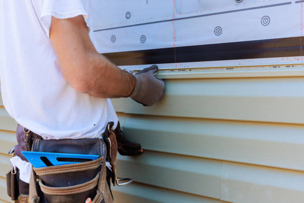 Best Fascia and Soffit Installation  in Dunlap, IA